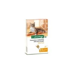Bayer ADVANTAGE 40 PER GATTI E CONIGLI 4 PIPPETTE INFERIORE KG. 4