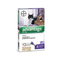 Bayer ADVANTAGE 80 PER GATTI E CONIGLI GRANDI 4 PIPPETTE OTRE KG. 4