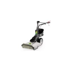 Vendite Agrariagioiese -Vendite Agrariagioiese alpina falciatrice briggs stratton quantum hp 5 trinciaerba cm 53 1