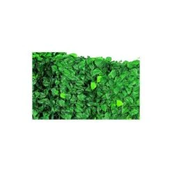 ARELLE SIEPE SEMPREVERDE LAURO MT. 1,5 X 3