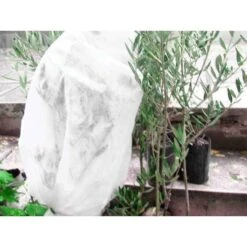 Ferrari CAPPUCCIO ANTIGELO TNT TESSUTO NON TESSUTO MT. 1X1,6