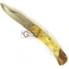 COLTELLO CUT CAPRIOLO MOD. LARGE MM.100 LAMA IN ACCIAIO INOX -Vendite Agrariagioiese coltello cut capriolo mod large mm100 lama in acciaio inox