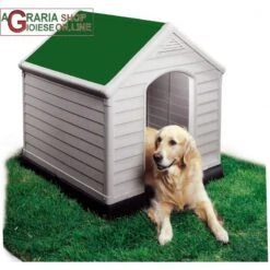 CUCCIA PER CANI DOG HOUSE KETER TETTO COLOR VERDE CM 95x99x99h EXTRA LARGE
