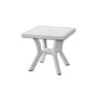 DIMAPLAST TAVOLO IN RESINA RIGOLETTO ELITTE BIANCO Cm. 60x60x70h. -Vendite Agrariagioiese dimaplast tavolo in resina rigoletto elitte bianco cm 60x60x70h