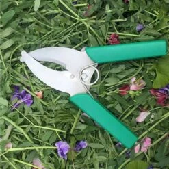 FORBICI PER INCISIONE ANULARE SULLA CORTECCIA DEGLI ALBERI DA FRUTTA KIWI 10 FORBICI PER INCISIONE ANULARE SULLA CORTECCIA DEGLI ALBERI DA FRUTTA KIWI -Vendite Agrariagioiese forbici per incisione anulare sulla corteccia degli alberi da frutta kiwi 2