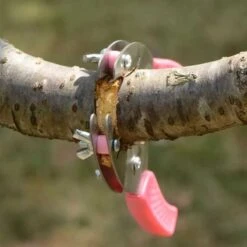 FORBICI PER INCISIONE ANULARE SULLA CORTECCIA DEGLI ALBERI DA FRUTTA KIWI 13 FORBICI PER INCISIONE ANULARE SULLA CORTECCIA DEGLI ALBERI DA FRUTTA KIWI -Vendite Agrariagioiese forbici per incisione anulare sulla corteccia degli alberi da frutta kiwi 5