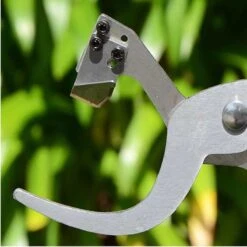 FORBICI PER INCISIONE ANULARE SULLA CORTECCIA DEGLI ALBERI DA FRUTTA KIWI PROFESSIONALE -Vendite Agrariagioiese forbici per incisione anulare sulla corteccia degli alberi da frutta kiwi professionale 2