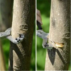 FORBICI PER INCISIONE ANULARE SULLA CORTECCIA DEGLI ALBERI DA FRUTTA KIWI PROFESSIONALE -Vendite Agrariagioiese forbici per incisione anulare sulla corteccia degli alberi da frutta kiwi professionale 3