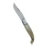Fraraccio Coltello Scarperia Manico Corno Cm. 22 Cod. 0408/506-3 -Vendite Agrariagioiese fraraccio coltello scarperia manico corno cm 22 cod 0408 506 3