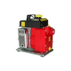 MOTOPOMPA PER IRRIGAZIONE CM 25/1A L AUTOADESCANTE 2 TEMPI