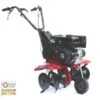 MOTOZAPPA MOD. EURO5 LONCIN OHV160 CM.75 CON RETROMARCIA -Vendite Agrariagioiese motozappa mod euro5 loncin ohv160 cm75 con retromarcia