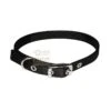 PET TRIBE COLLARE PER CANI IN NYLON CON FORI CM. 2,5 NERO -Vendite Agrariagioiese pet tribe collare per cani in nylon con fori cm 25 nero