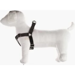 PETTORINA REGOLABILE PER CANI SPEEDY IN NYLON MM. 10 TAGLIA XS NERA -Vendite Agrariagioiese pettorina regolabile per cani speedy in nylon mm 10 taglia xs nera 1
