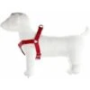 PETTORINA REGOLABILE PER CANI SPEEDY IN NYLON MM. 10 TAGLIA XS ROSSA -Vendite Agrariagioiese pettorina regolabile per cani speedy in nylon mm 10 taglia xs rossa