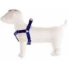 PETTORINA REGOLABILE PER CANI SPEEDY IN NYLON MM. 25 TAGLIA XL BLU -Vendite Agrariagioiese pettorina regolabile per cani speedy in nylon mm 25 taglia xl blu