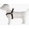PETTORINA REGOLABILE PER CANI SPEEDY IN NYLON MM. 25 TAGLIA XL NERA