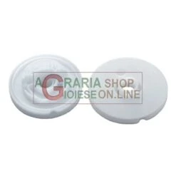 PULEGGIA AVVIAMENTO PER DECESPUGLITORE SHINDAIWA KAWASAKI MM. 75