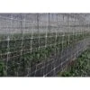 Rete Per Rampicante Rotolo Da 1,70h X 1000mt -Vendite Agrariagioiese rete per rampicante rotolo da 170h x 1000mt