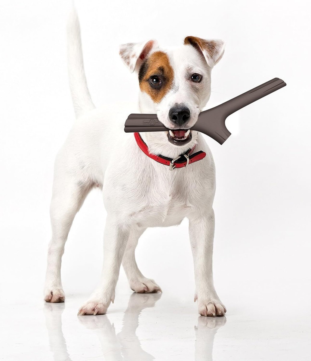 Vendite Agrariagioiese -Vendite Agrariagioiese s l1200 6