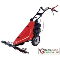 Vendite Agrariagioiese -Vendite Agrariagioiese sandrigarden barra falciante modsg80fm hp35 cm82 1