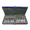 SET 19 INSERTI A BUSSOLA TORX ATTACCO 1/4 E 1/2 3 SET 19 INSERTI A BUSSOLA TORX ATTACCO 1/4 E 1/2 -Vendite Agrariagioiese set 19 inserti a bussola torx attacco 1 4 e 1 2