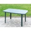TAVOLO RESINA Cm.137x85 COLORE VERDE 5 TAVOLO RESINA Cm.137x85 COLORE VERDE -Vendite Agrariagioiese tavolo resina cm137x85 colore verde